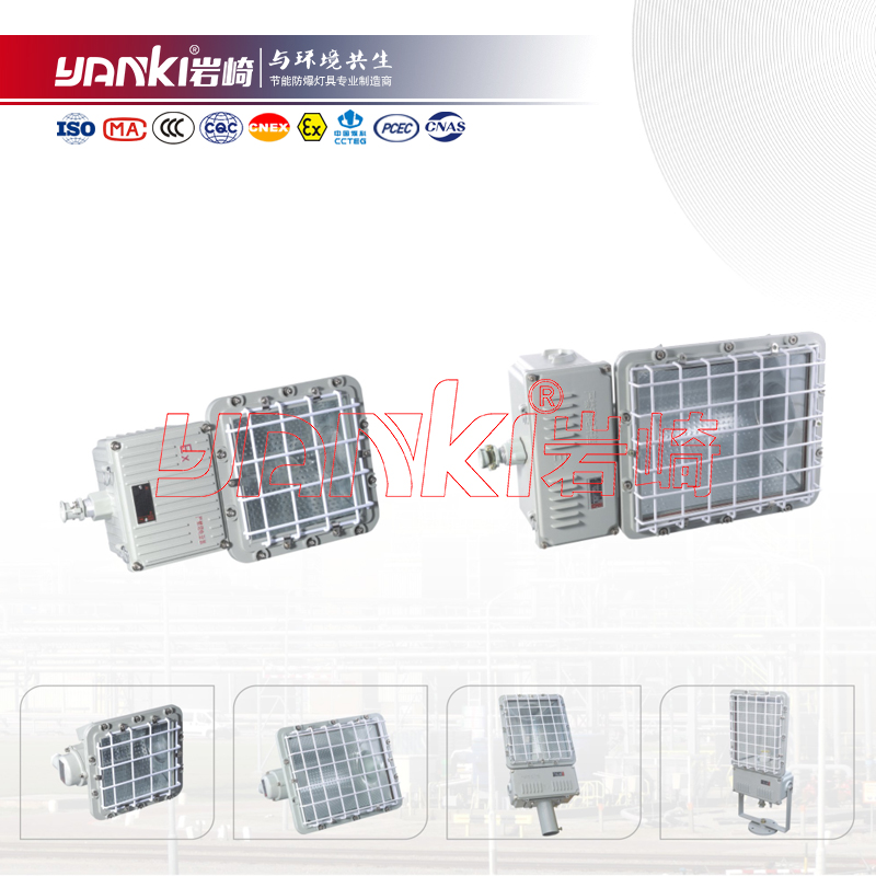 BHD720系列防爆泛光灯/马路灯