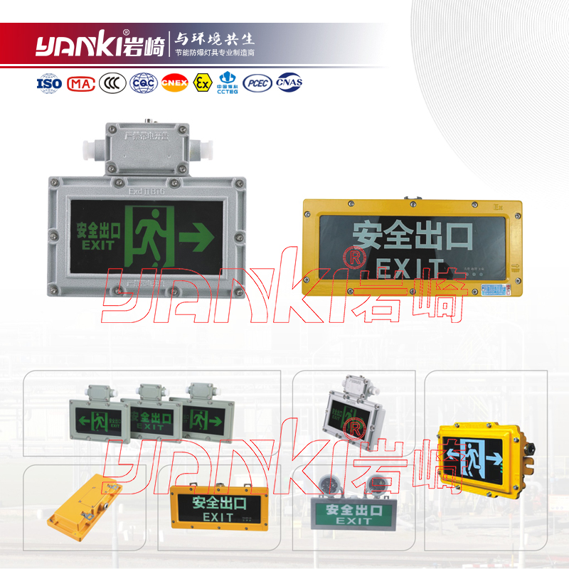 BZD310(BYY)系列防爆标志灯