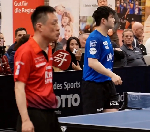 樊振东德甲赛独取两分 转会杜塞尔多夫引期待